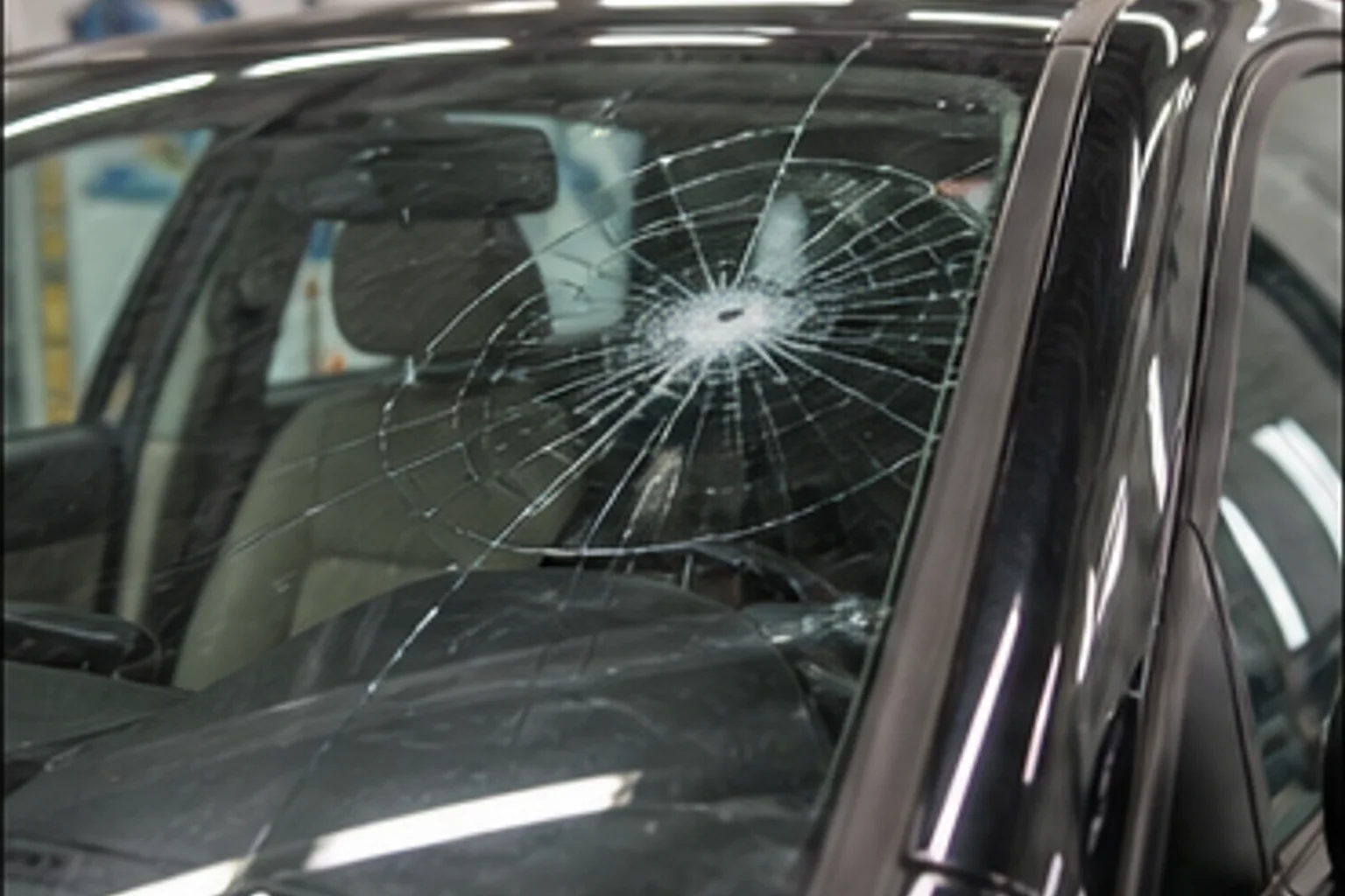 Glass and Trim Damage