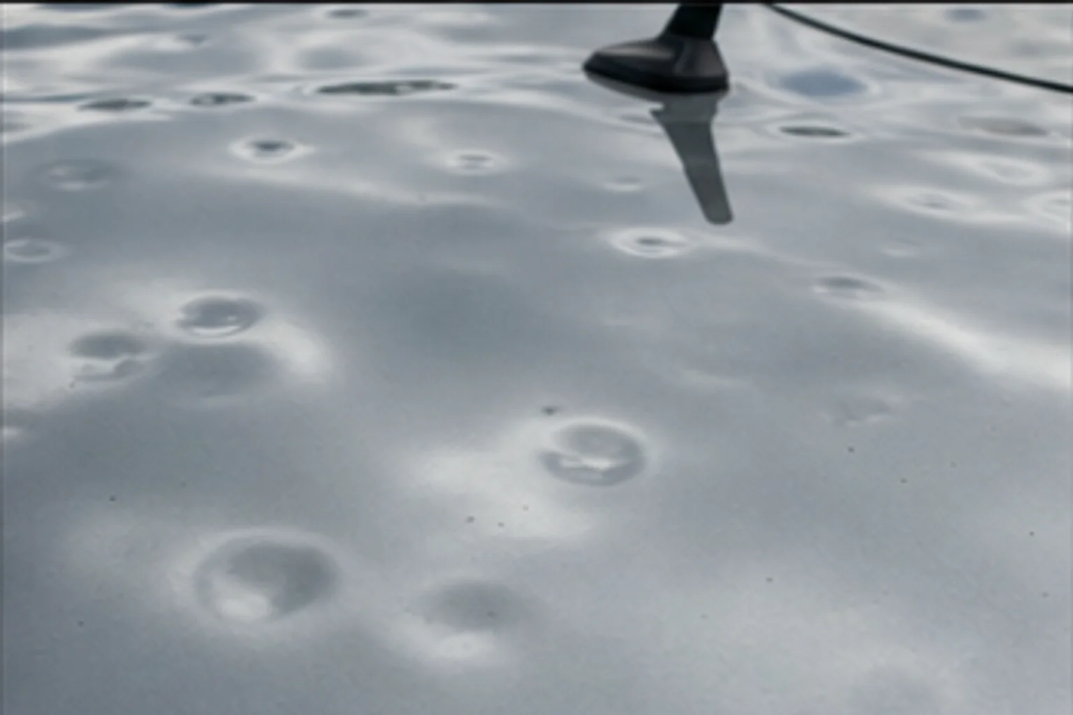 Hail Storm Damage